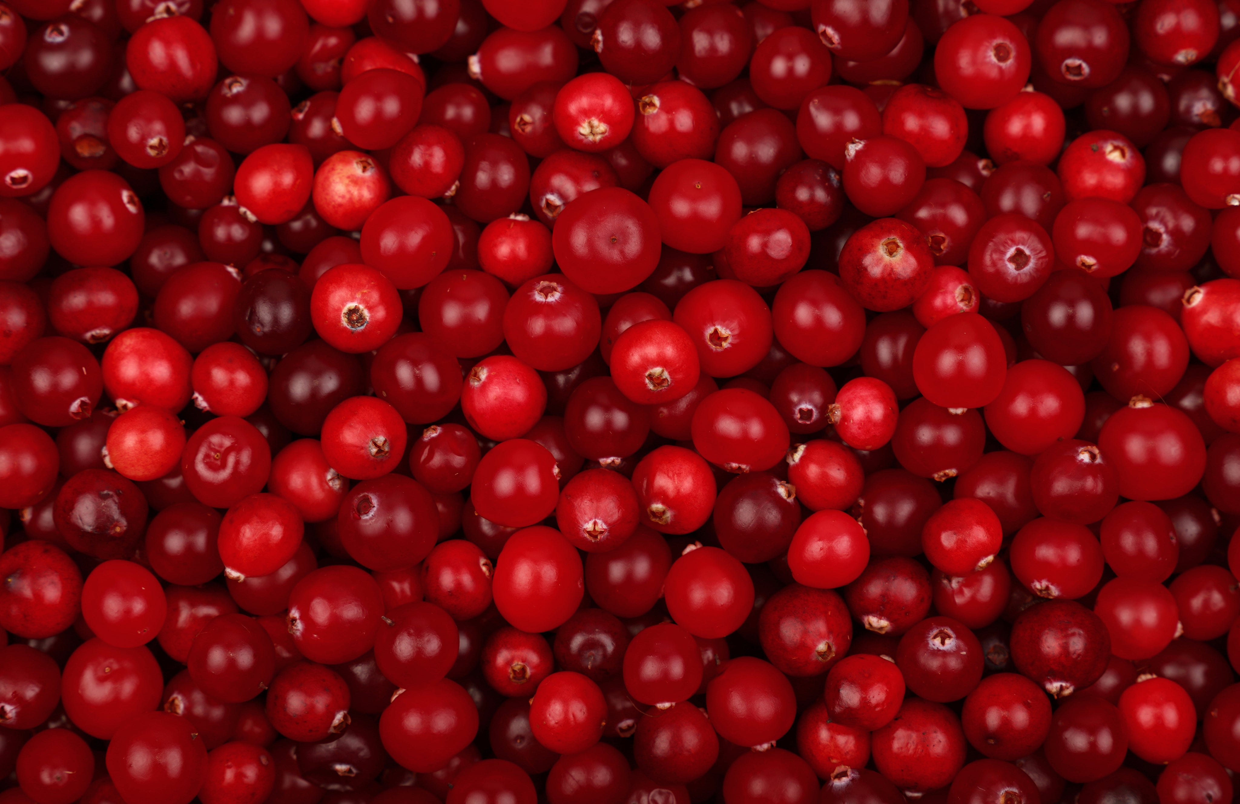 Evidencia científica del Cranberry como preventivo de las  Infecciones Urinarias (ITU)